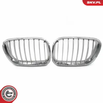 Griglia del radiatore per BMW X5 (E53) 51137113733