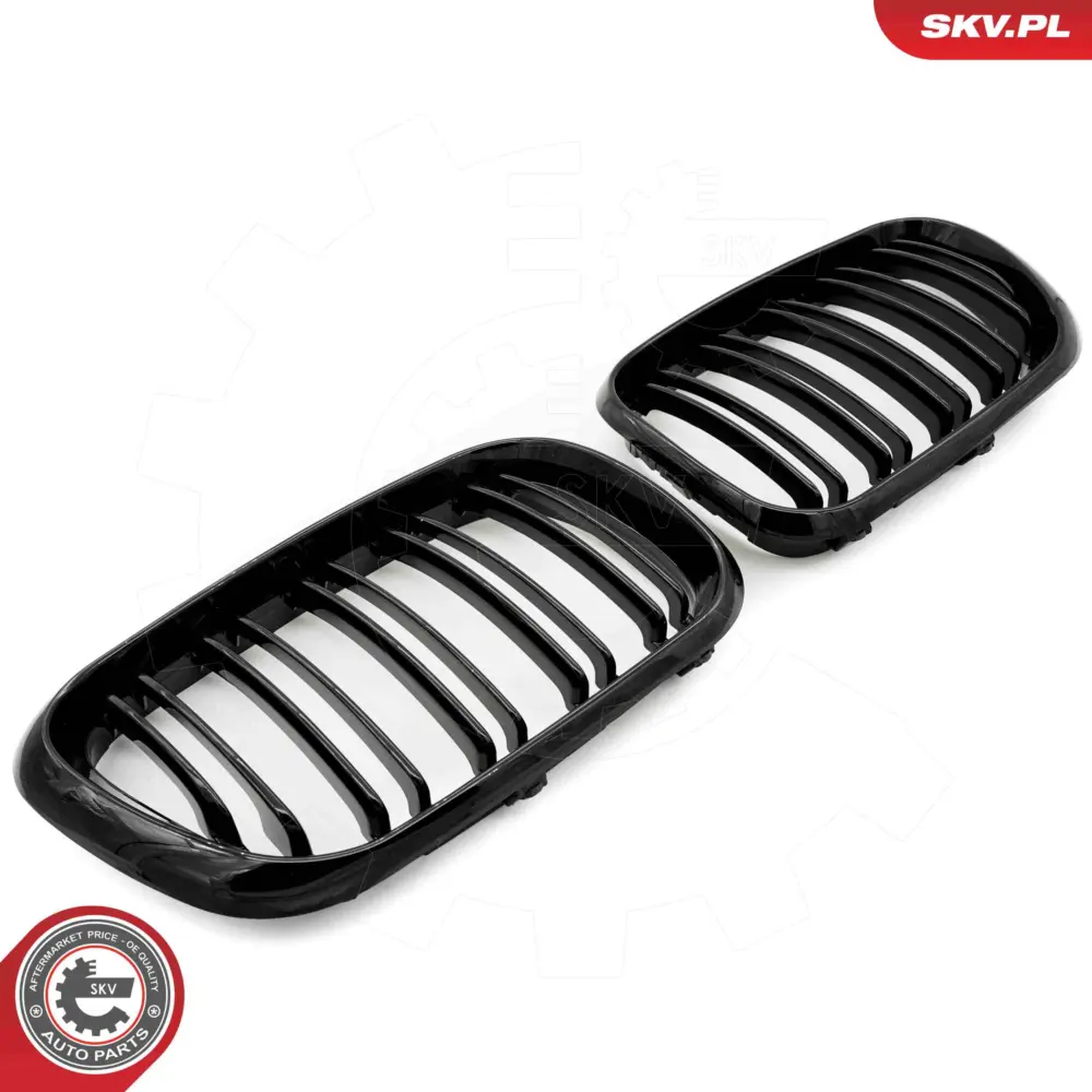 Griglia del radiatore per BMW X5 (E53) 51137113733