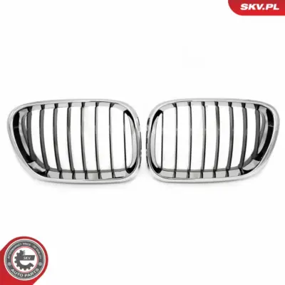 Griglia del radiatore per BMW X5 (E53) 51137113733