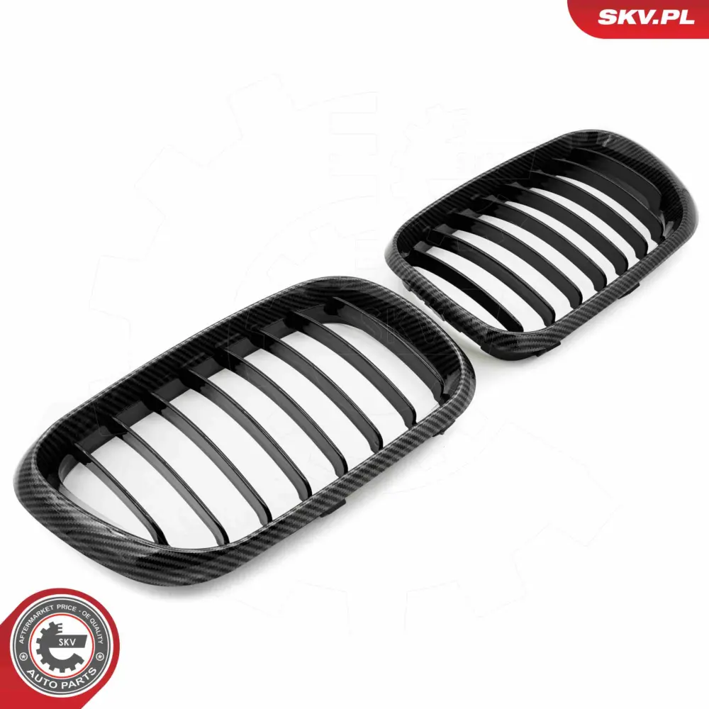 Griglia del radiatore per BMW X5 (E53) 51137113733