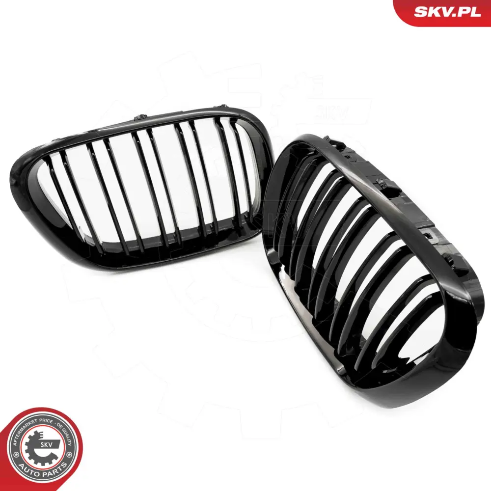 Griglia del radiatore per BMW X5 (E53) 51137113733