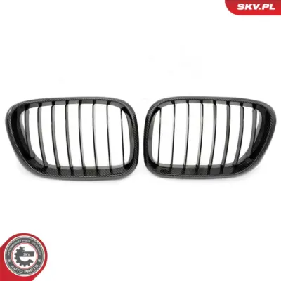 Griglia del radiatore per BMW X5 (E53) 51137113733