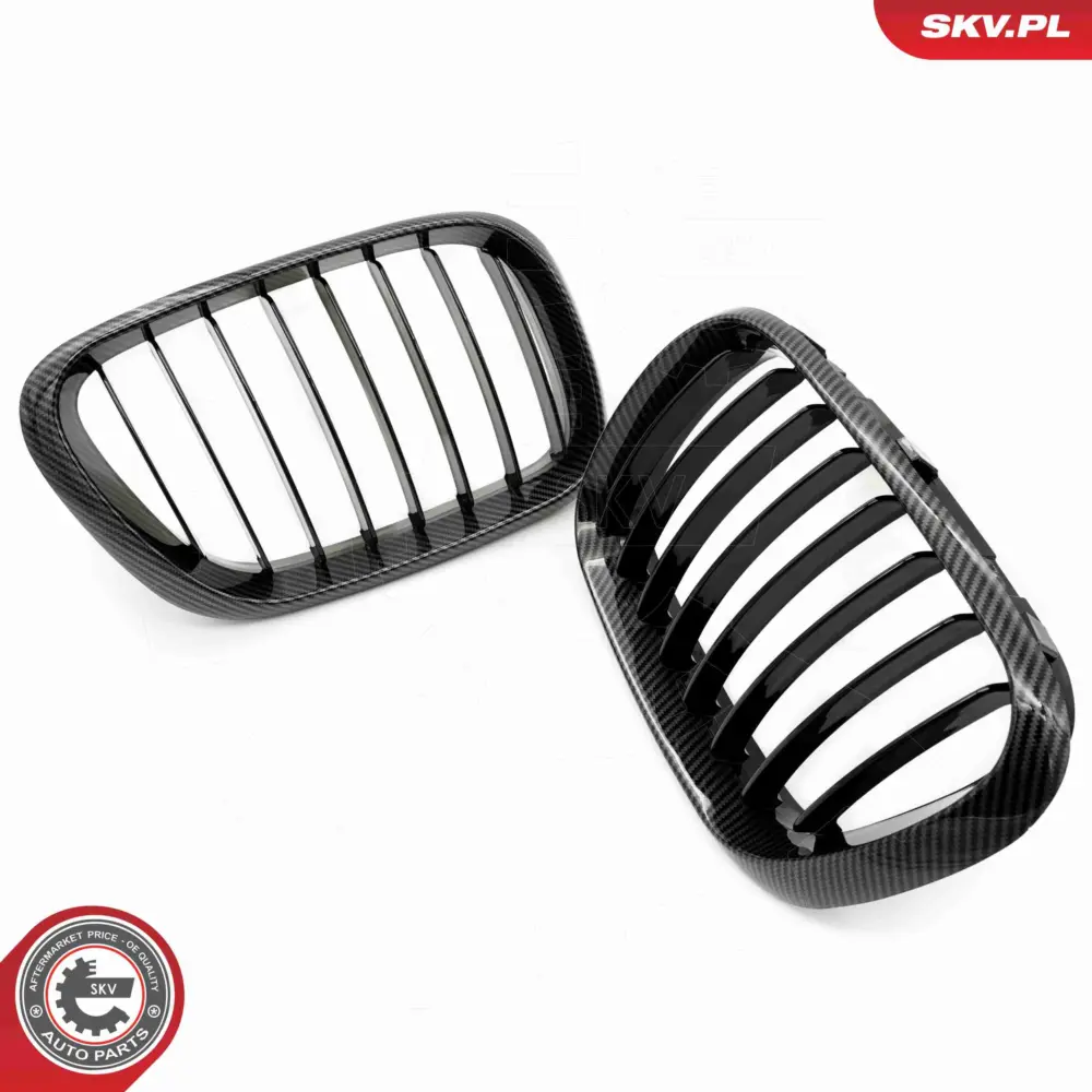 Griglia del radiatore per BMW X5 (E53) 51137113733