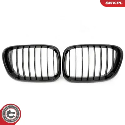 Griglia del radiatore per BMW X5 (E53) 51137113733