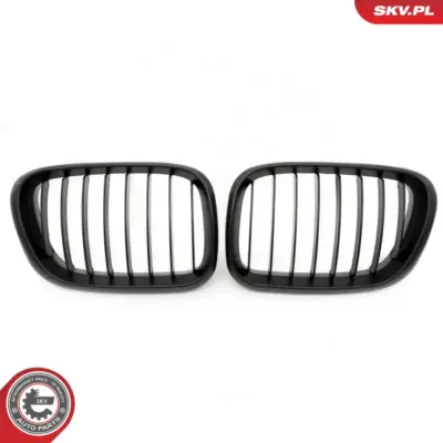 Griglia del radiatore per BMW X5 (E53) 51137113733