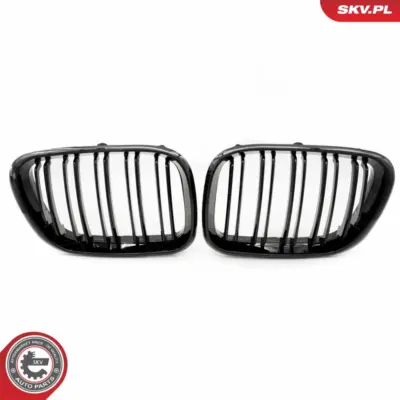 Griglia del radiatore per BMW X5 (E53) 51137113733