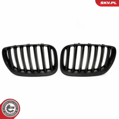 Griglia del radiatore per BMW X5 (E53) 51137124815