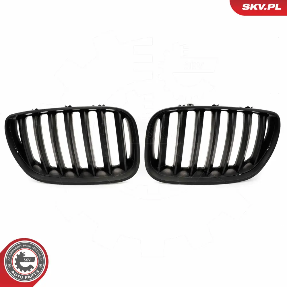 Griglia del radiatore per BMW X5 (E53) 51137124815
