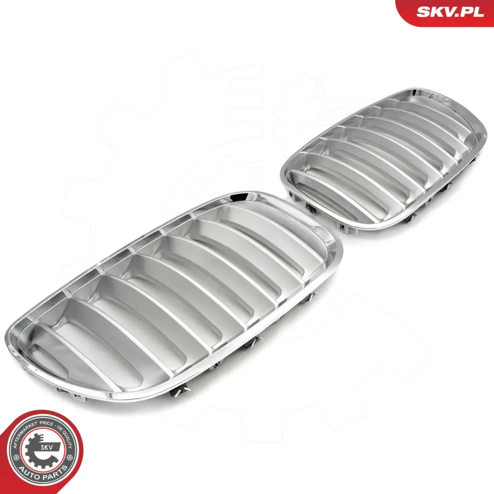 Griglia del radiatore per BMW X5 (E53) 51137124815