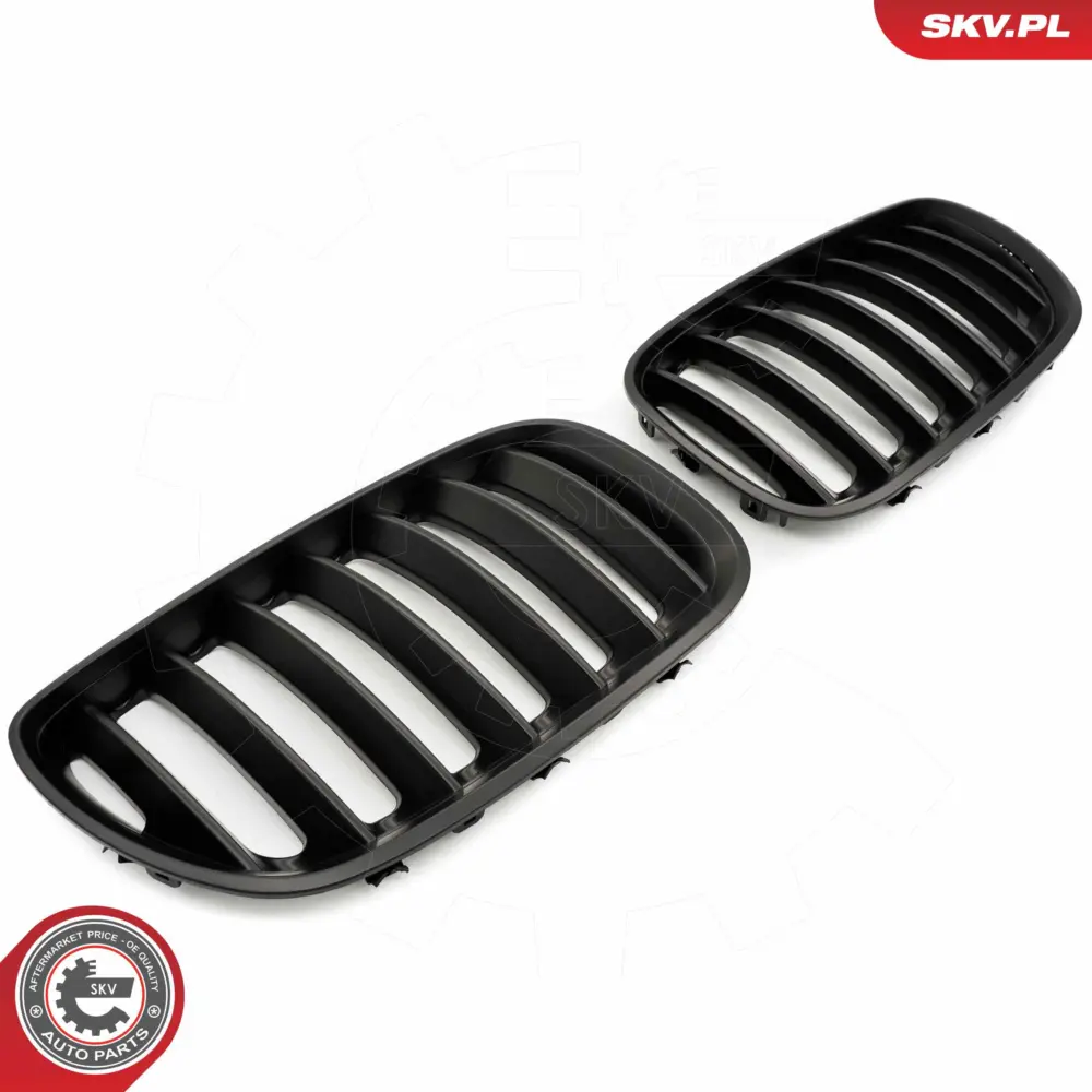 Griglia del radiatore per BMW X5 (E53) 51137124815