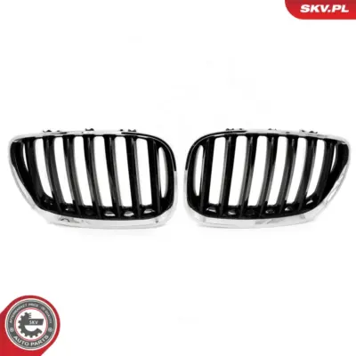Griglia del radiatore per BMW X5 (E53) 51137124815