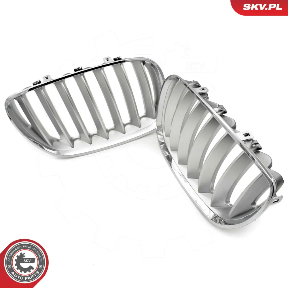 Griglia del radiatore per BMW X5 (E53) 51137124815