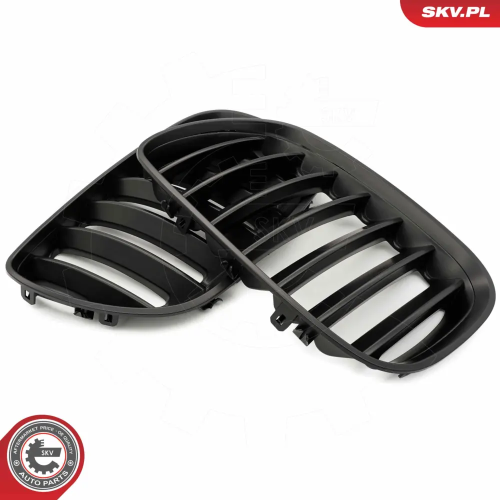 Griglia del radiatore per BMW X5 (E53) 51137124815