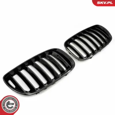 Griglia del radiatore per BMW X5 (E53) 51137124815