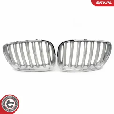Griglia del radiatore per BMW X5 (E53) 51137124815