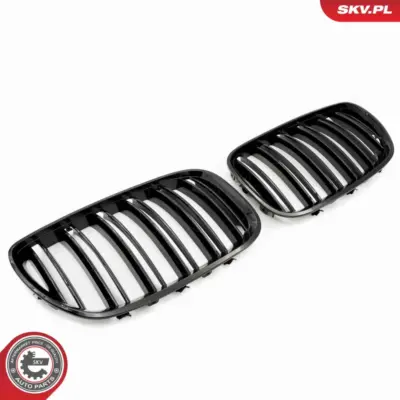 Griglia del radiatore per BMW X5 (E53) 51137124815