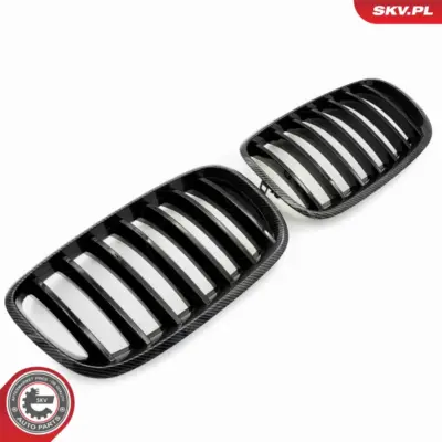Griglia del radiatore per BMW X5 (E70) 51712150246