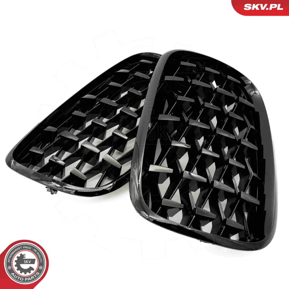 Griglia del radiatore per BMW X5 (E70) 51712150246