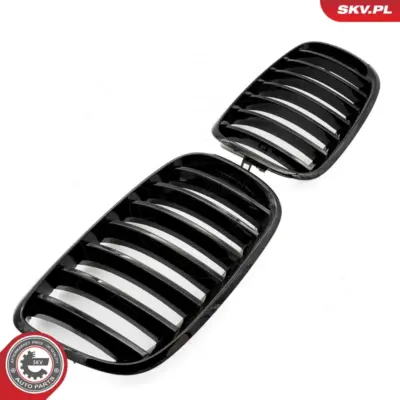 Griglia del radiatore per BMW X5 (E70) 51712150246