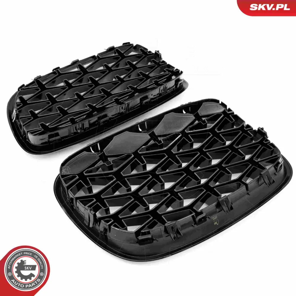 Griglia del radiatore per BMW X5 (E70) 51712150246