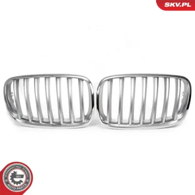 Griglia del radiatore per BMW X5 (E70) 51712150246