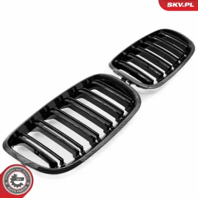 Griglia del radiatore per BMW X5 (E70) 51712150246
