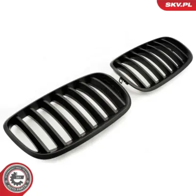 Griglia del radiatore per BMW X5 (E70) 51712150246