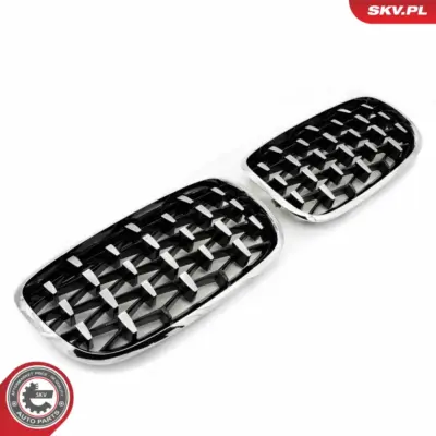 Griglia del radiatore per BMW X5 (E70) 51712150246