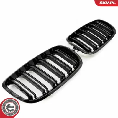 Griglia del radiatore per BMW X5 (E70) 51712150246