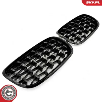 Griglia del radiatore per BMW X5 (E70) 51712150246