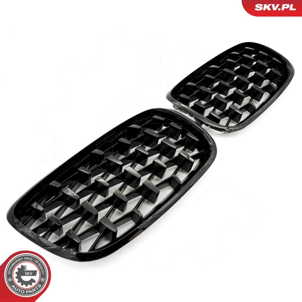 Griglia del radiatore per BMW X5 (E70) 51712150246