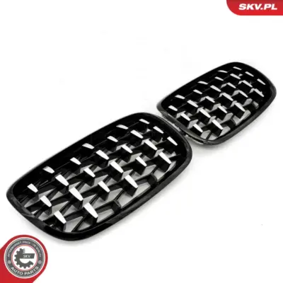 Griglia del radiatore per BMW X5 (E70) 51712150246