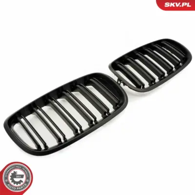 Griglia del radiatore per BMW X5 (E70) 51712150246