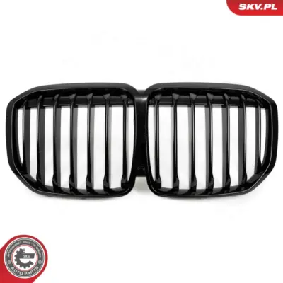 Griglia del radiatore per BMW X7 (G07) 51138745730