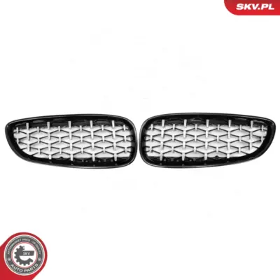 Griglia del radiatore per BMW Z4 (E89) 51137191509