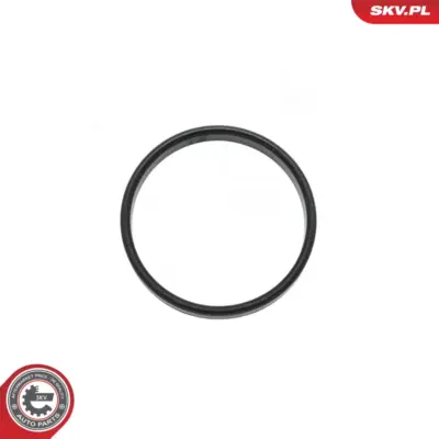 Guarnizione corpo farfallato per Renault Laguna II (BG0) 7701059142