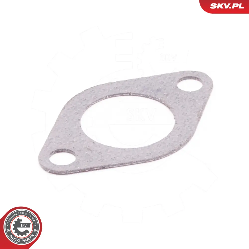Guarnizione per VW Passat B6 (3C2) Passat B6 Variant (3C5) EOS (1F7) 069131547D