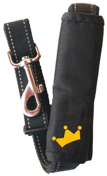 Guinzaglio sicurezza cane doppio uso regolabile resistente nylon robusto