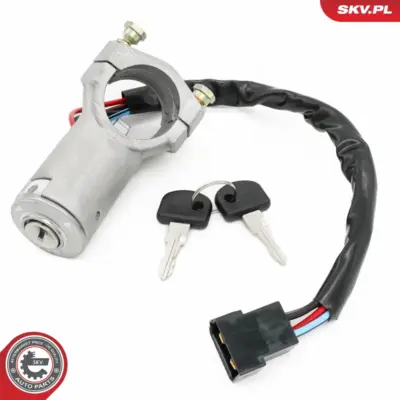 Inserto dell'interruttore di accensione per Fiat Ducato Van Ducato Bus 4354118