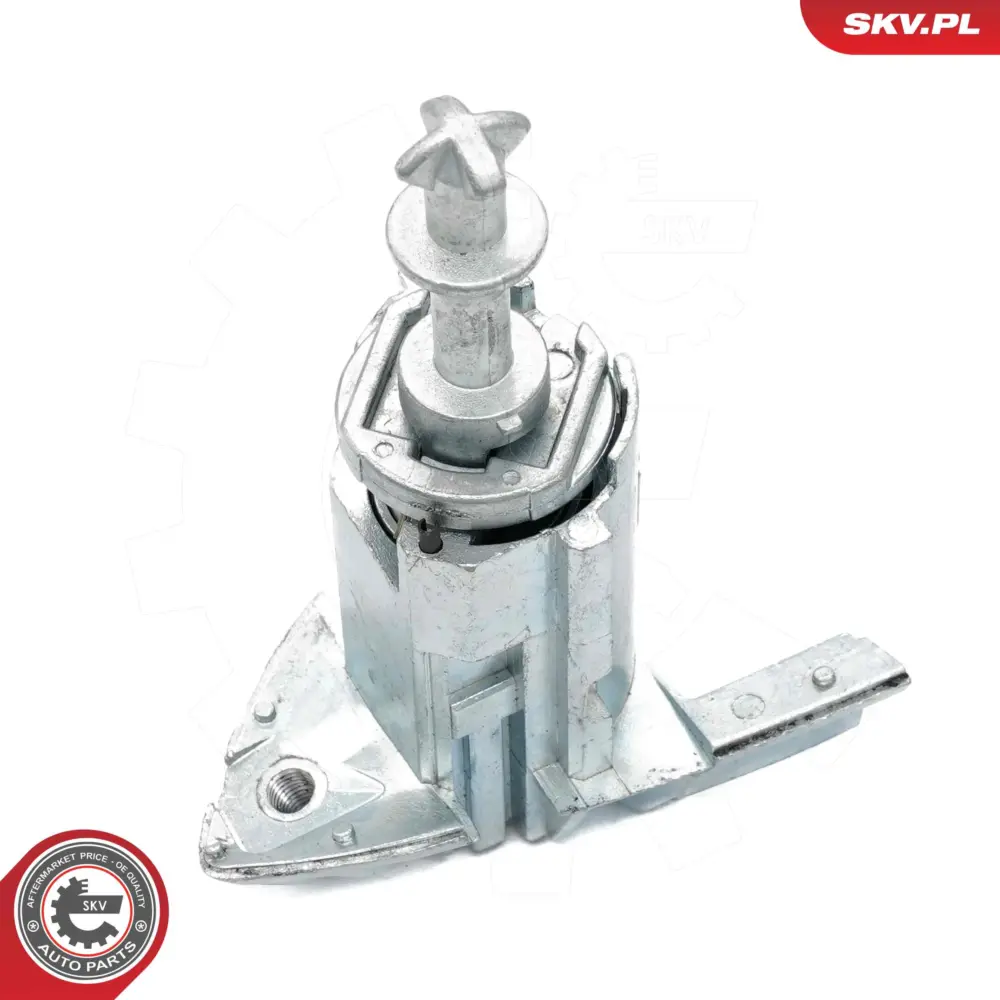 Inserto per la serratura della porta per BMW X5 (E53) 51217035421