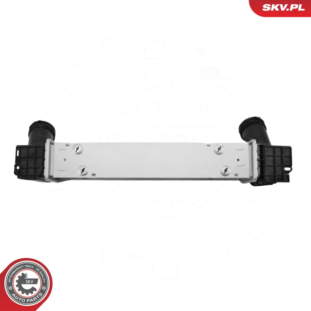 Intercooler per BMW Serie 3 (E93 E92 E90) 1 (E88 E82 E81) X1 (E84) 17517524916