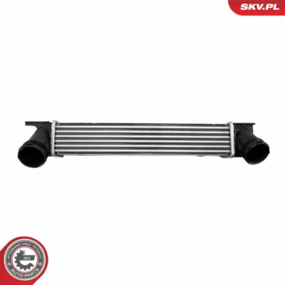 Intercooler per BMW Serie 3 (E93 E92 E90) 1 (E88 E82 E81) X1 (E84) 17517524916