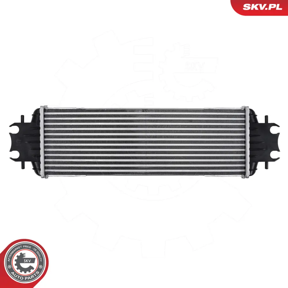 Intercooler per Nissan Primastar Bus (X83) Primastar Van (X83) 1449600QAA