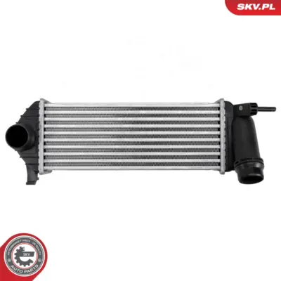 Intercooler per Renault Kangoo / Grand Kangoo II (KW0) 144961489R