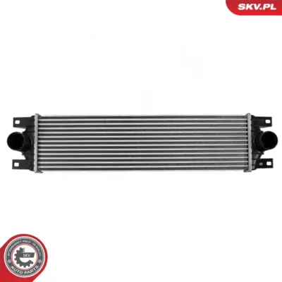 Intercooler per Renault Master II Van (FD) Master II Bus (JD) 2141000QAA