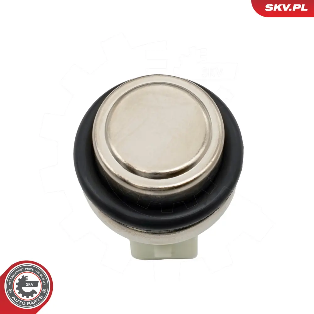 Interruttore della ventola del radiatore per VW Golf IV (1J1) 191919369A