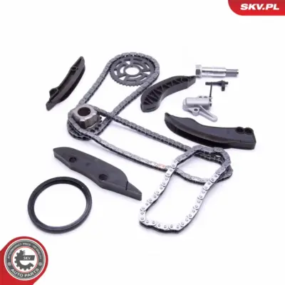 Kit catena distribuzione per BMW Serie 3 (E93 E92) 1 (E88) 5 (E60) 11317797514