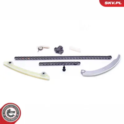 Kit catena distribuzione per Ford C-max (DM2) Focus II (HCP DP) Fiesta V 1119172