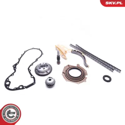 Kit catena distribuzione per Ford Focus I (DAW DBW) Focus I Saloon (DFW) 1078497