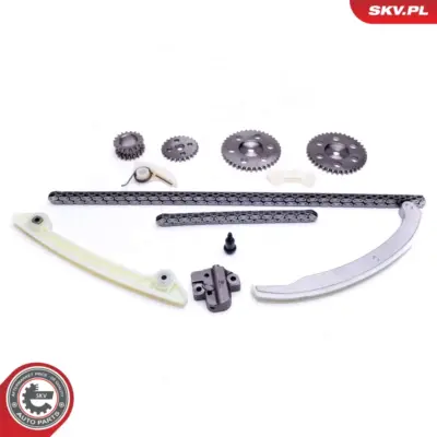 Kit catena distribuzione per Ford Focus II (HCP DP) C-max (DM2) Fiesta V 1119172
